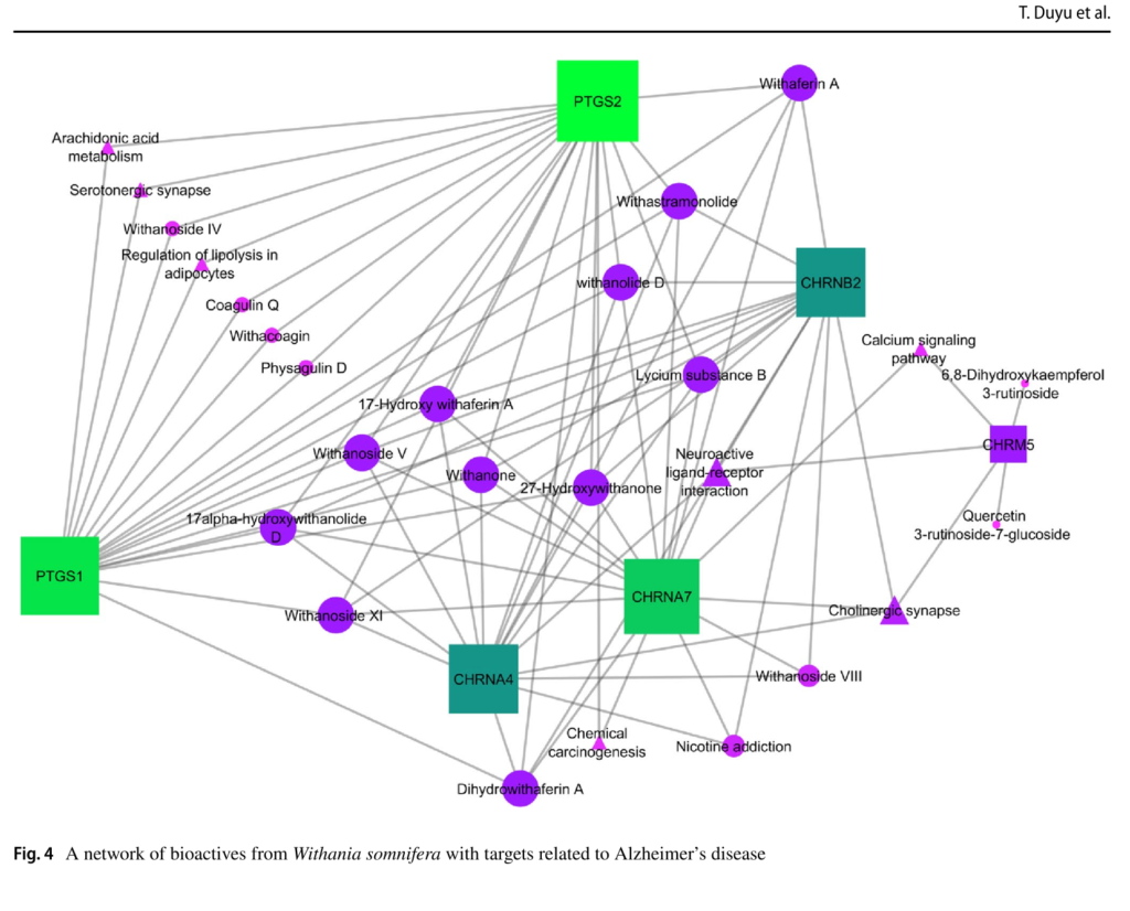 network pharmacology of ashwagandha (withania somnifera)